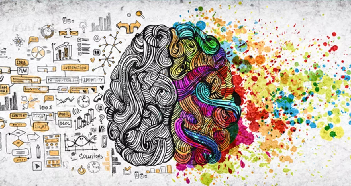 brain-in-two-aspects